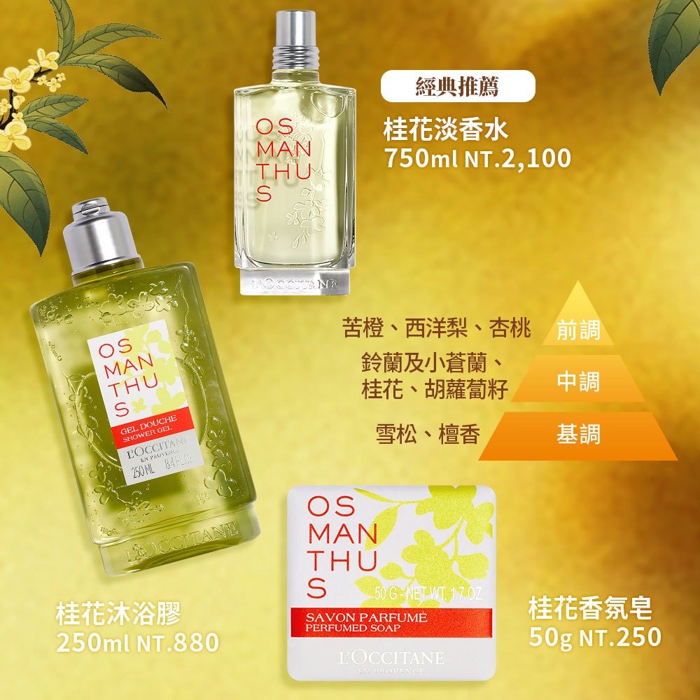 L'OCCITANE歐舒丹】桂花美體乳250ml - PChome 商店街