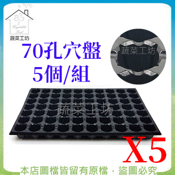 【蔬菜工坊】70孔穴盤5個/組