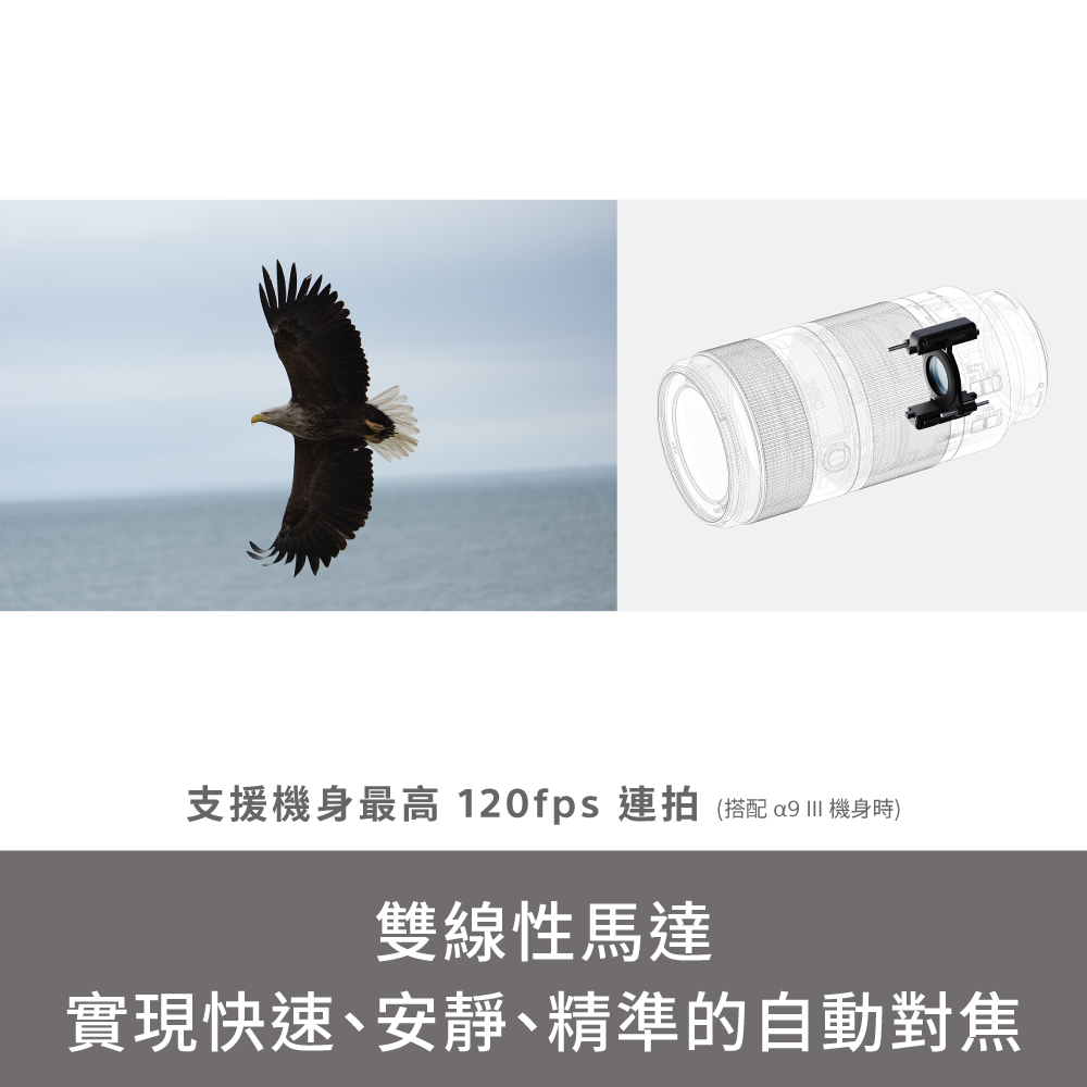 SONY 索尼 SEL100400 輕巧超望遠變焦鏡頭 (公司貨 保固24個月)