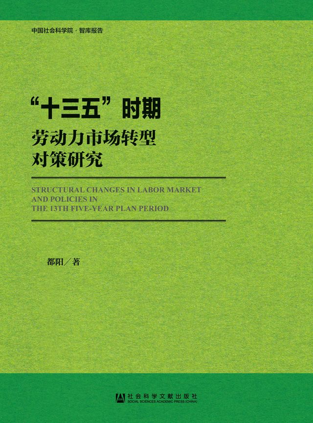 “十三五”时期劳动力市场转型对策研究