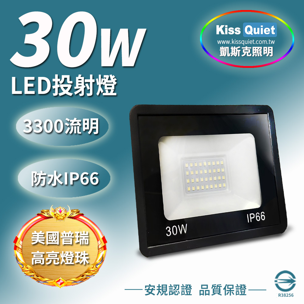 《Kiss Quiet》 質感黑(白光/黄光)30W LED投射燈全電壓探照燈-1入
