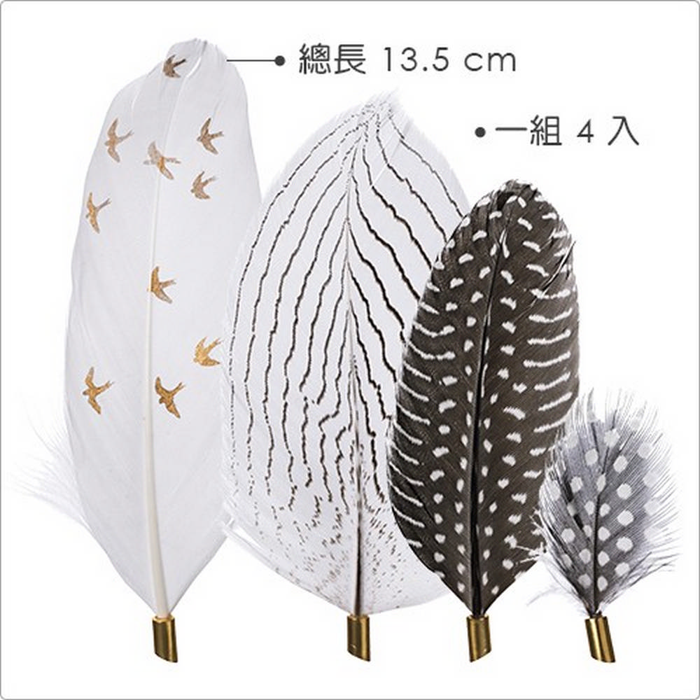 RADER 德國 飄逸羽毛磁鐵4件 / 冰箱磁鐵貼 memo 備忘錄固定