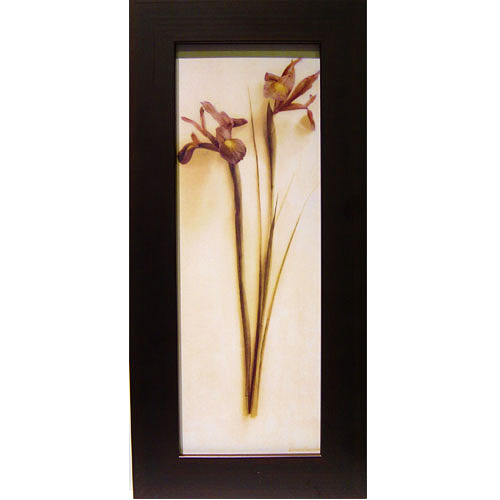 開運陶源 柔美花卉系列之【鳶尾花Irises】