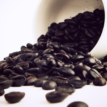Gustare caffe 精選薇薇特南果咖啡豆(1磅)（其他規格）