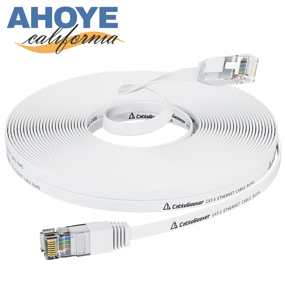 CAT6扁平乙太網路線 1Gbps/1000Mbps 10M (NAS伺服器)
