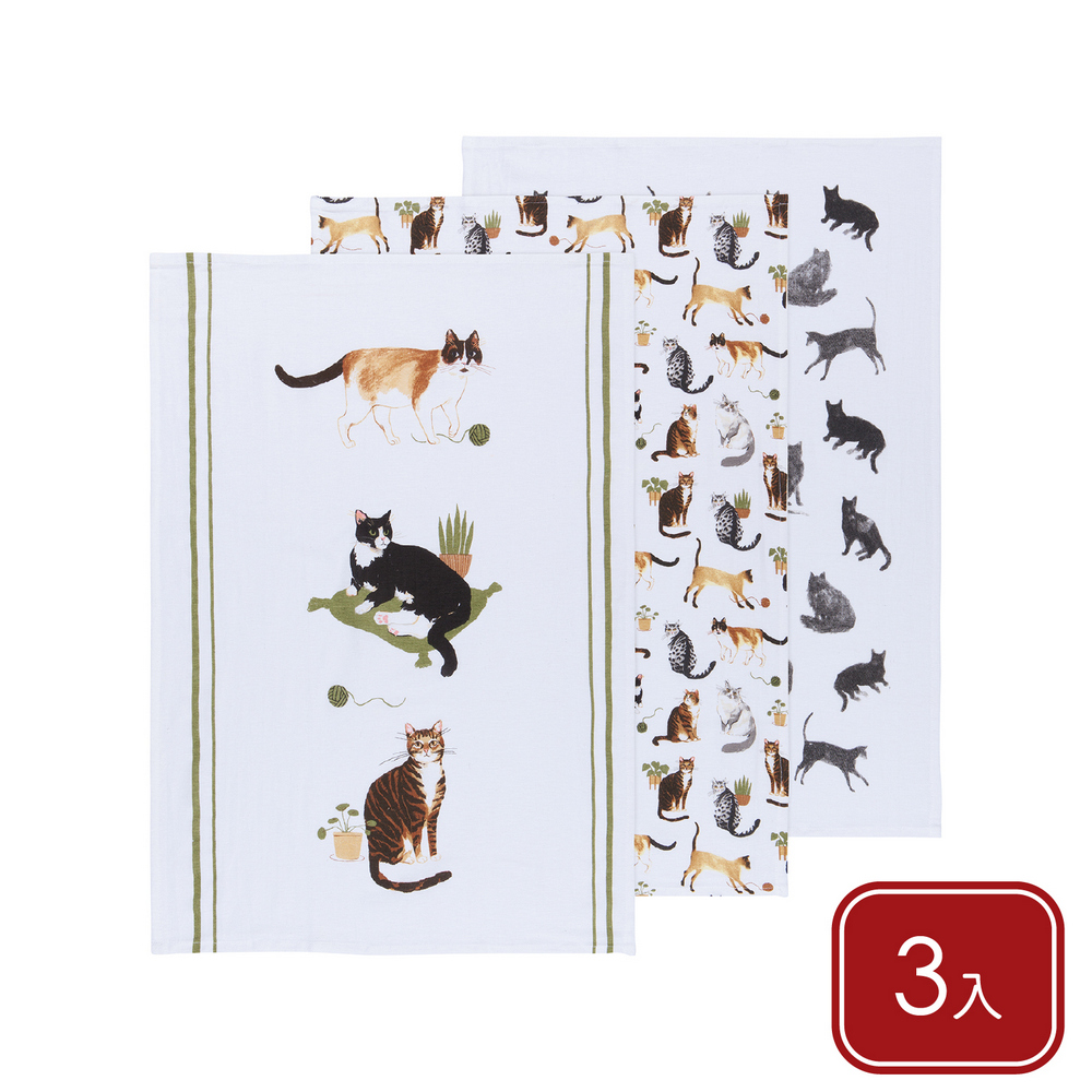 NOW 美國 純棉擦拭布3入(幸福貓生76x51cm) / 廚房抹布 清潔布 擦拭布 茶巾