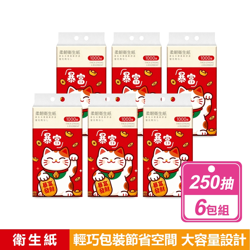 小招財貓 6包組-掛式抽取衛生紙 250抽(1000張/包)