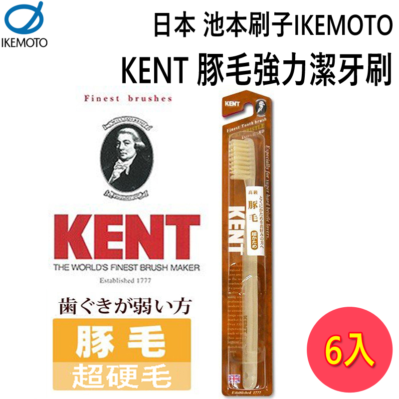 IKEMOTO 池本 日本 豚毛強力潔牙刷 【6入組】