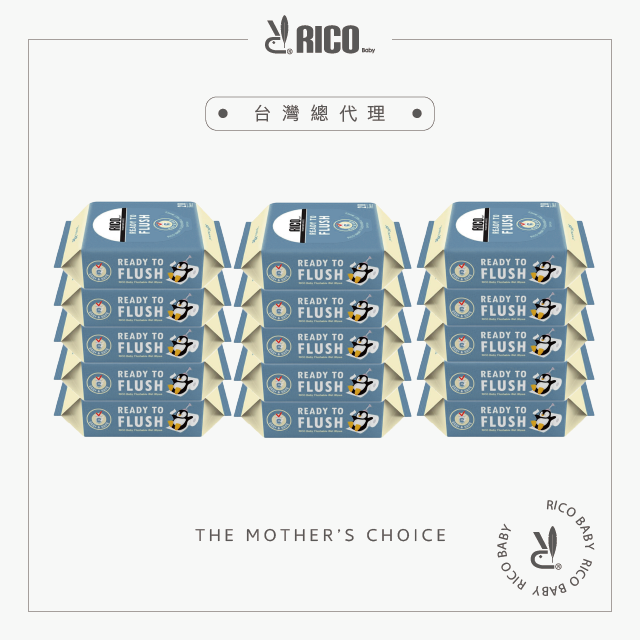 韓國RICO baby 兒童可沖濕式衛生紙20抽-15入