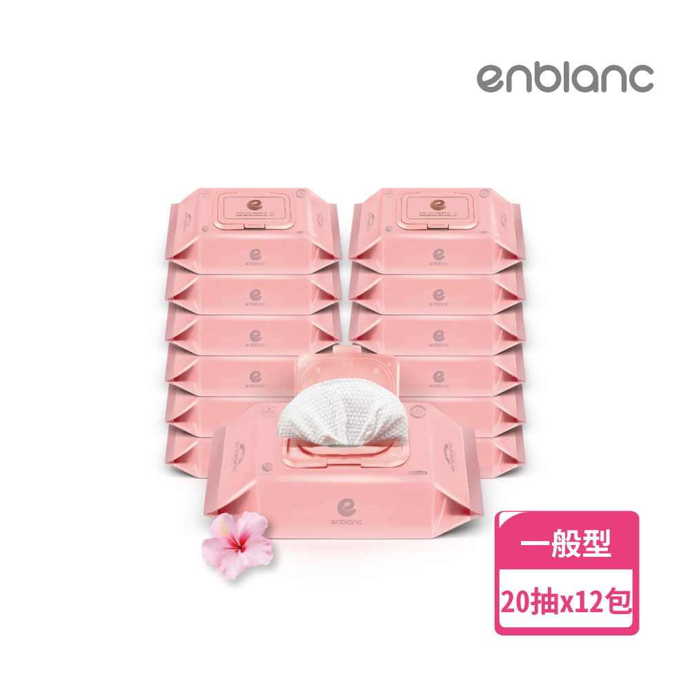 enblanc 安柏兒 銀離子抗菌極柔純水有蓋隨身包濕紙巾(20抽12包)