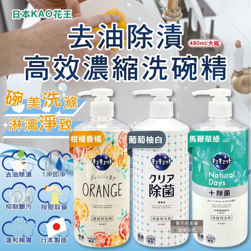 KAO 花王 日本珂珂透CUCUTE廚房去油除漬濃縮洗碗精480ml/按壓瓶(柑橘香/葡萄柚香/馬鞭草香_3款可選)