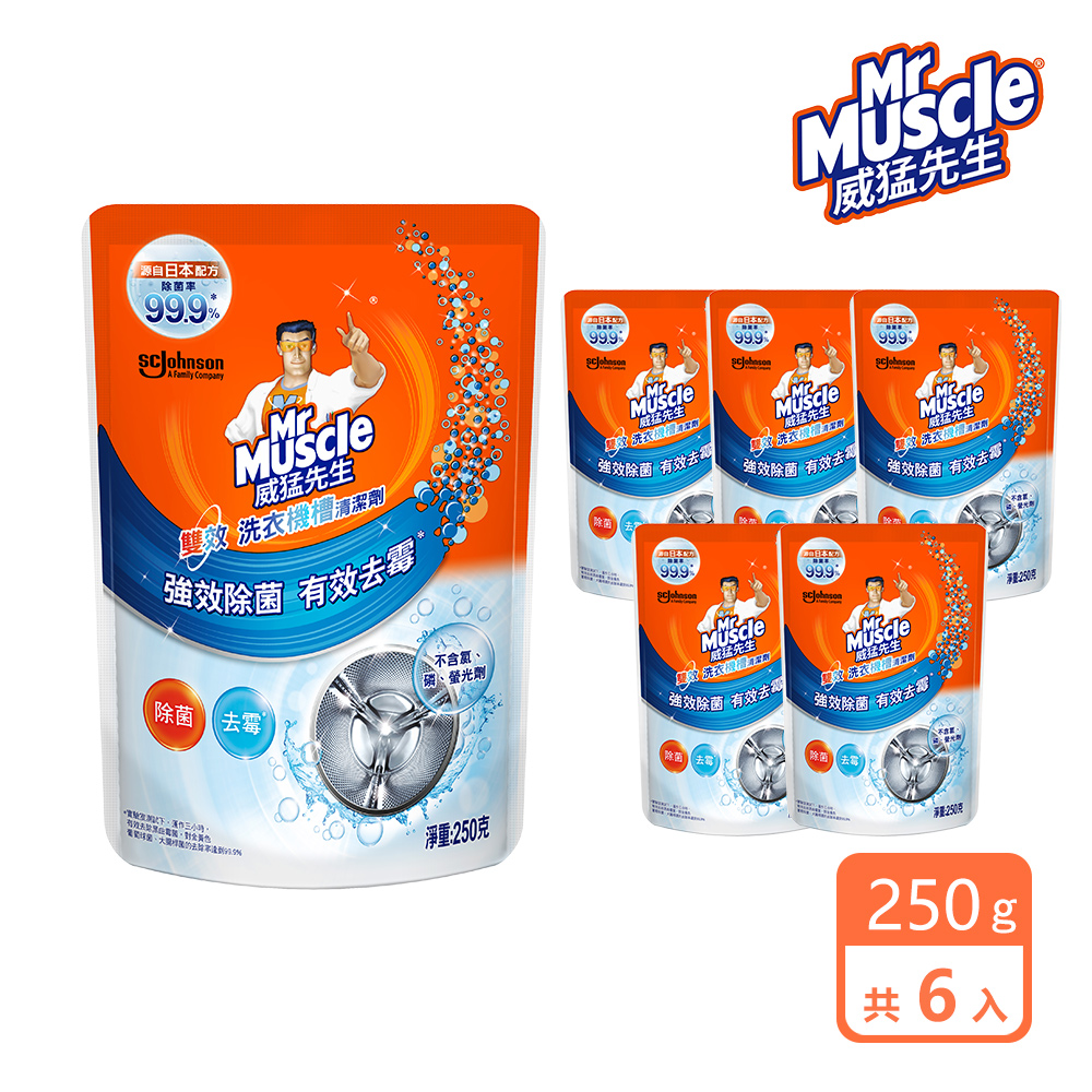 6入組 洗衣機槽清潔劑250g