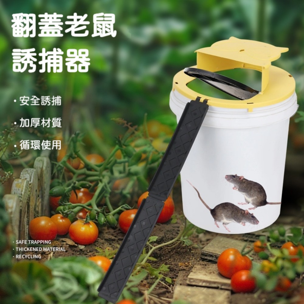 GSBD 翻蓋捕鼠器 三入組 自動復位捕鼠器 防逃陷阱 老鼠誘捕工具 室內外適用