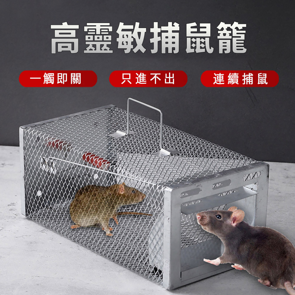 MULY 家用單門連續抓捕鼠籠 高靈敏捕鼠器 鍍鋅材質不生鏽 全自動鼠洞老鼠籠 滅鼠神器 撲鼠器 驅鼠