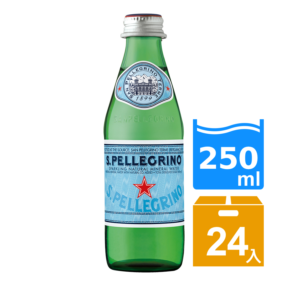 聖沛黎洛 氣泡礦泉水(250mlx24入)