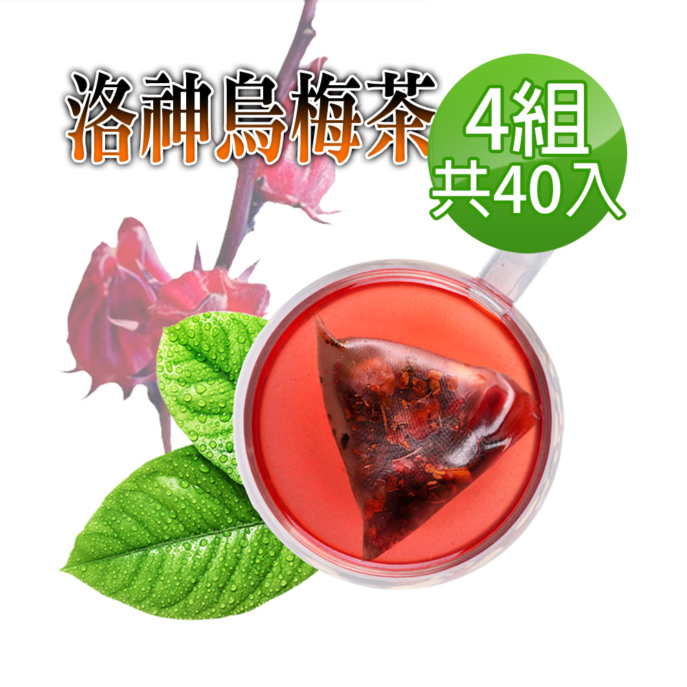 蔘大王 洛神烏梅茶包X4組 6gX10入/組 促進新陳代謝 開胃 油切解膩 天然快樂人身