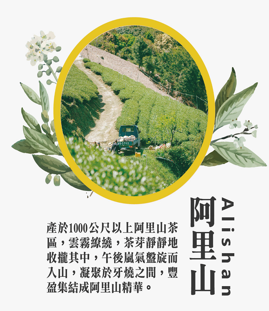 【台灣好茶】阿里山高山茶 三兄弟　阿里山翠玉、阿里山金萱、阿里山四季春 春茶 Alishan High Mt. Tea 300g-Fresh Floral Aroma 台灣高山茶第一
