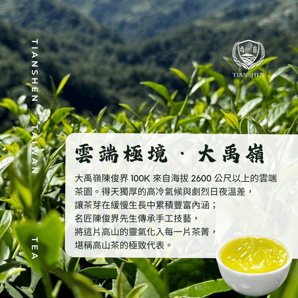 Tianshen 天神大禹嶺100k 陳俊界高山茶( 2兩) - PChome 24h購物