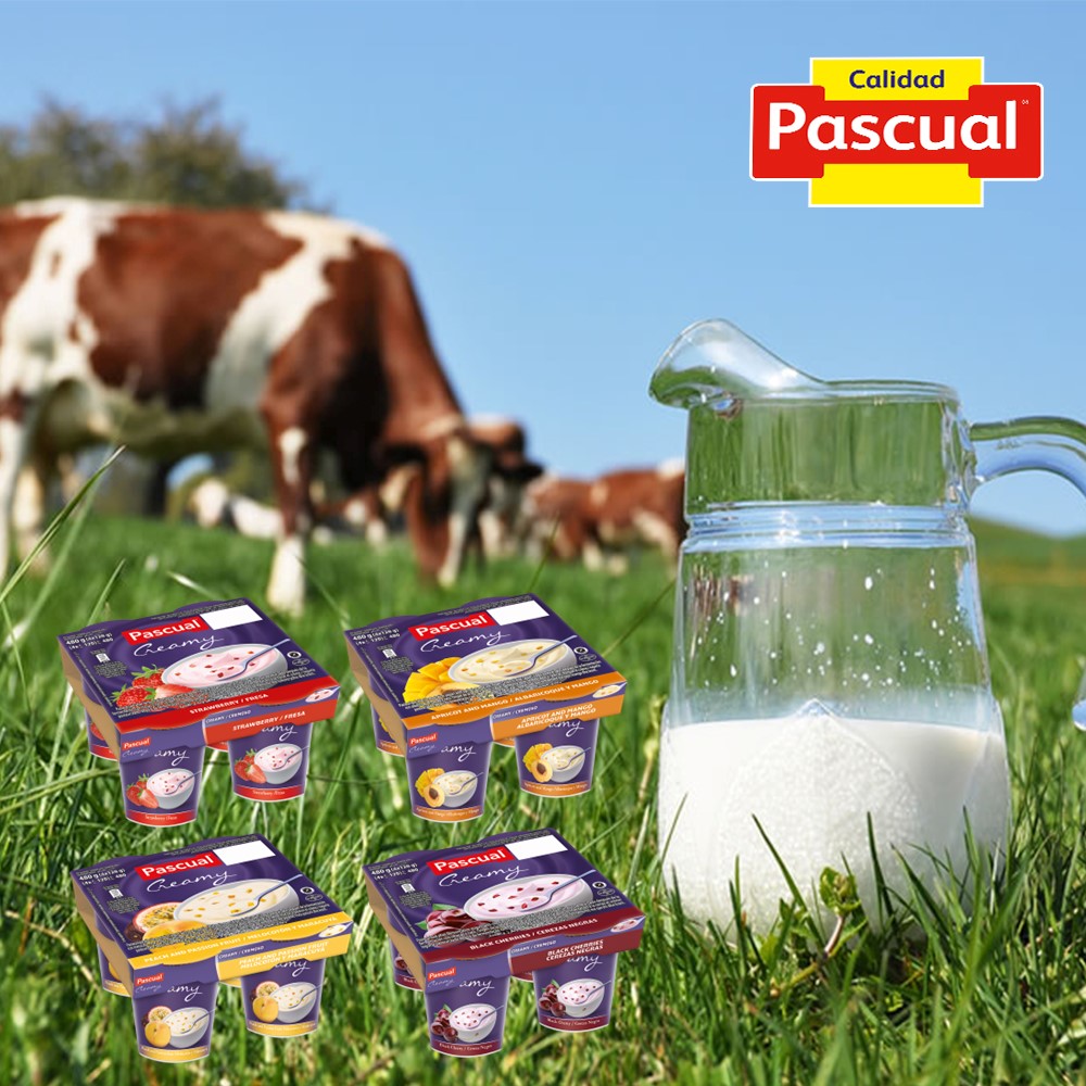 【PASCUAL 帕斯夸】西班牙水果優格 口味任選 120GX24杯
