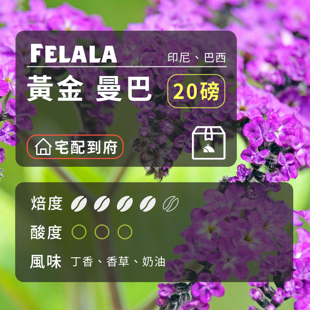 費拉拉咖啡 【費拉拉】【中深烘焙】黃金 曼巴 咖啡豆 20磅