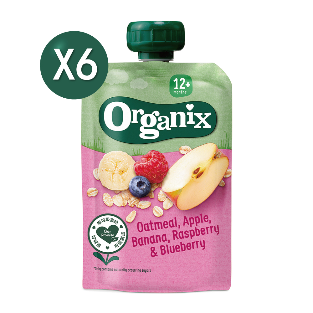 Organix 【英國 】燕麥纖泥-蘋果香蕉覆盆莓100gX6《 專業嬰幼兒副食品》