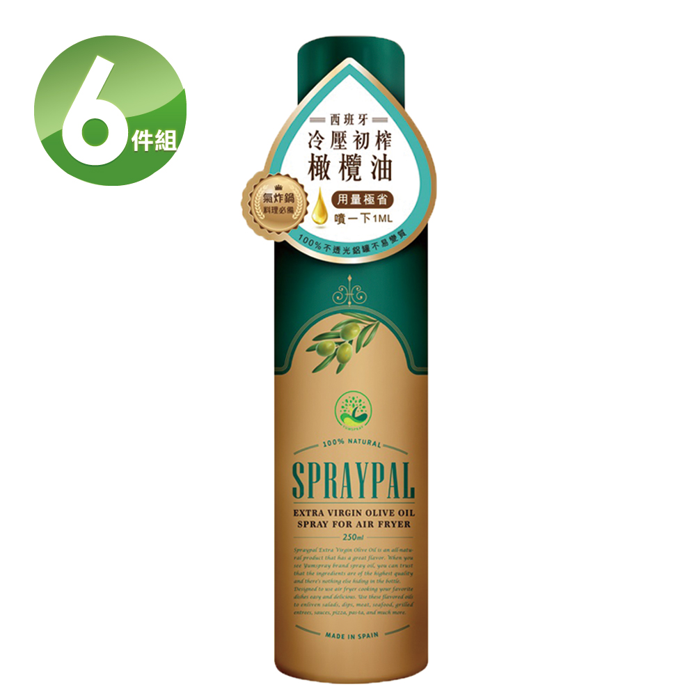 噴寶Spraypal 特級橄欖氣炸鍋專用噴霧油(120ML/瓶)X6瓶
