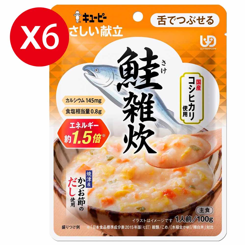 KEWPIE Y3-53 介護食品 鮭魚野菜高湯米粥 100gX6