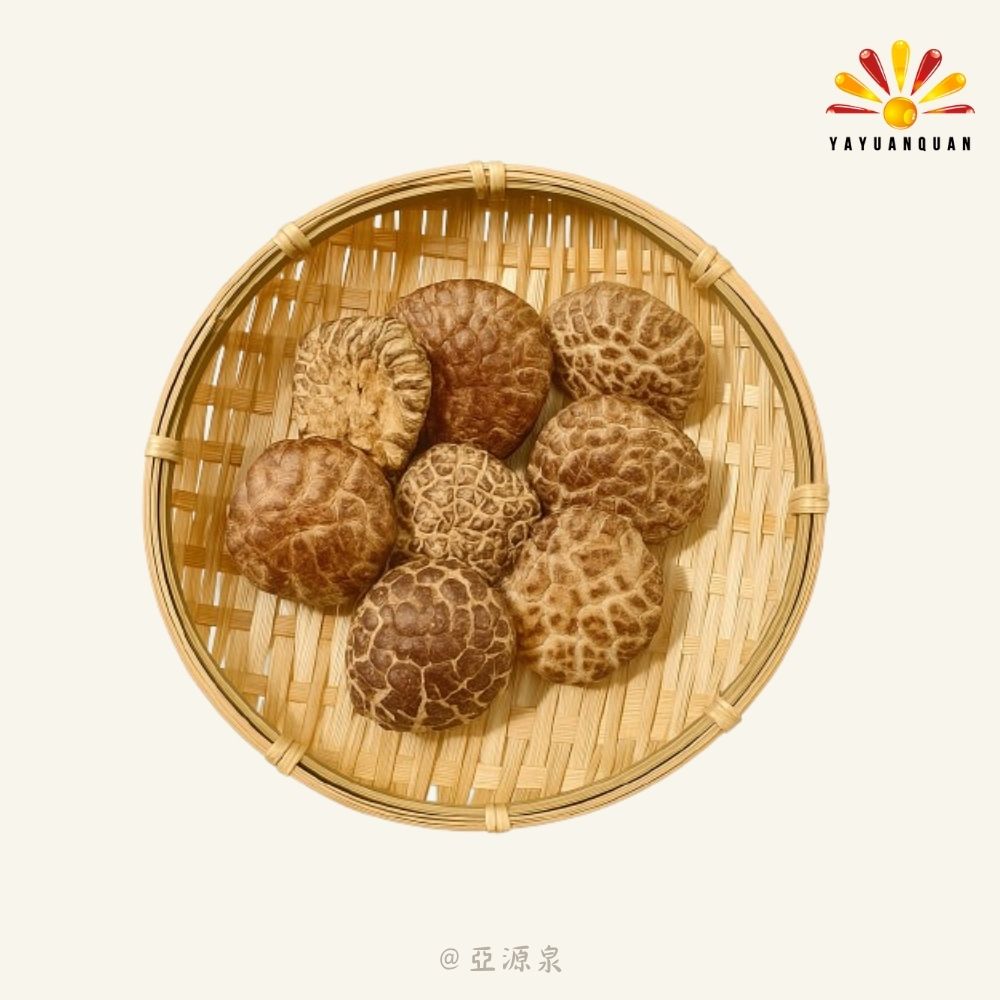 亞源泉 椴木花菇 量批發 3公斤