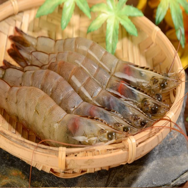 華得水產 天然白蝦1件組(850g/盒)