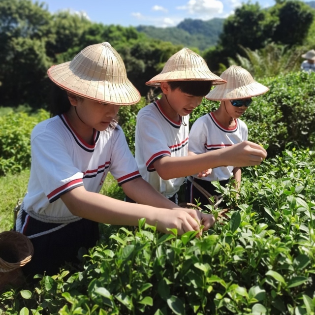 新北市農會文山休閒農場|採茶葉拓雙體驗套組((兒童/敬老票)_單一