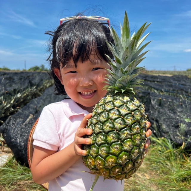 高雄 巴瓈圓農場|鳳梨食農之旅_單一