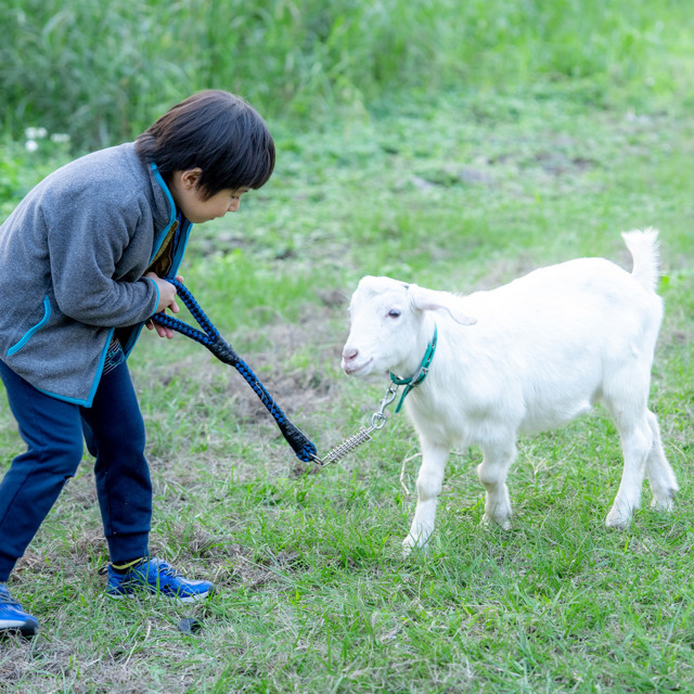 宜蘭 宜農牧場|飼養員體驗_單一