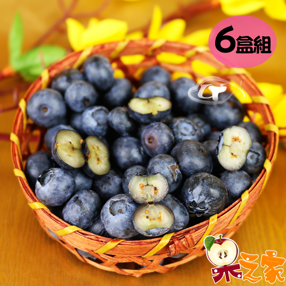 果之家 美國空運進口XL級鮮果藍莓6盒(125g/盒)