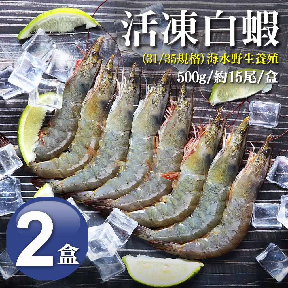 築地一番鮮 31/35|海水養殖白蝦500g|2盒|約15尾