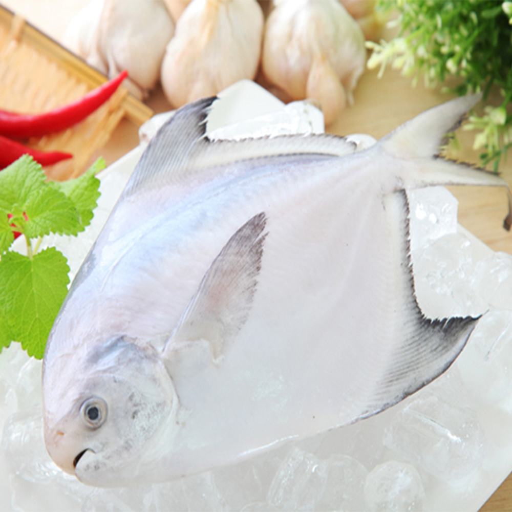 海之醇 野生正白鯧魚2隻組(350-400/隻)