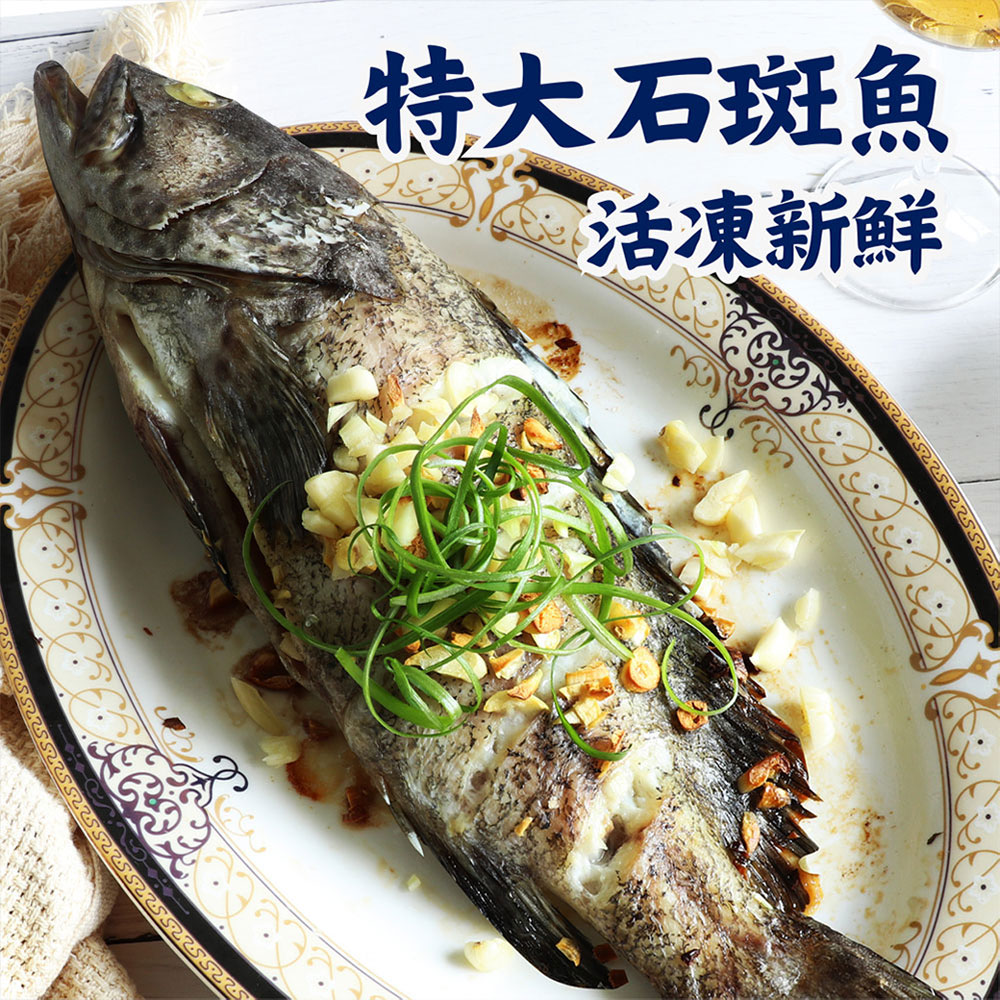 築地一番鮮 特大石斑魚 530gX5尾組|活魚三去 /急速冷凍 /真空包裝/優質蛋白低脂