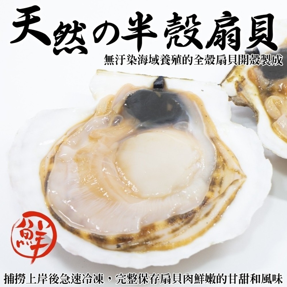 海肉管家 生鮮半殼扇貝(6包_5~9顆/500g/包)