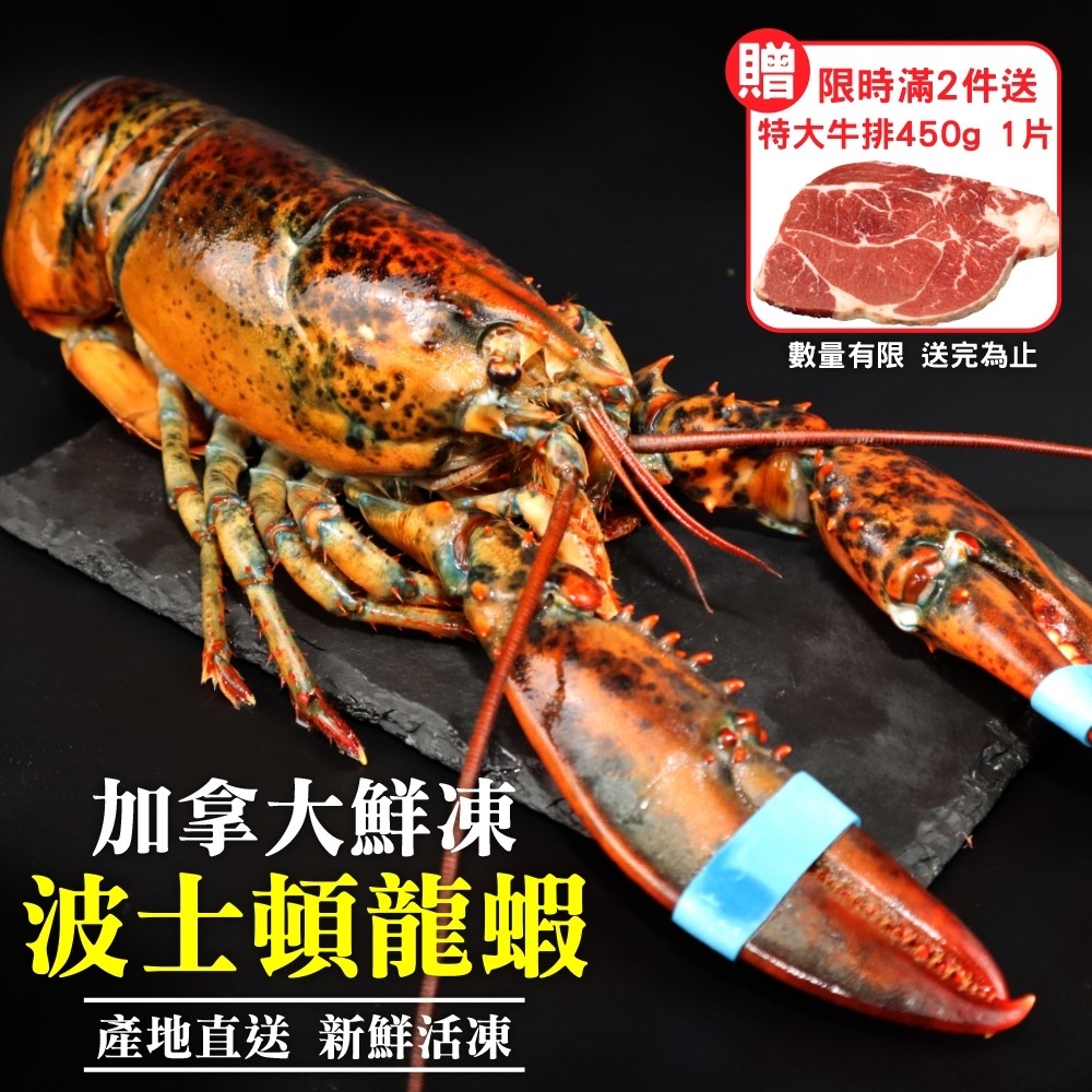 海肉管家 第二件送好禮活凍波士頓龍蝦(2尾_400-500g/尾)