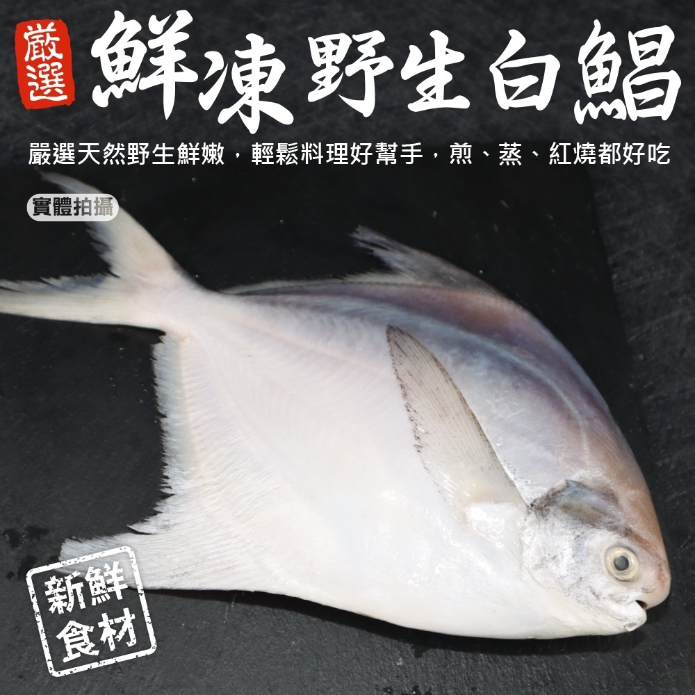 三頓飯 鮮嫩野生白鯧魚(4尾組_220-280g/尾)