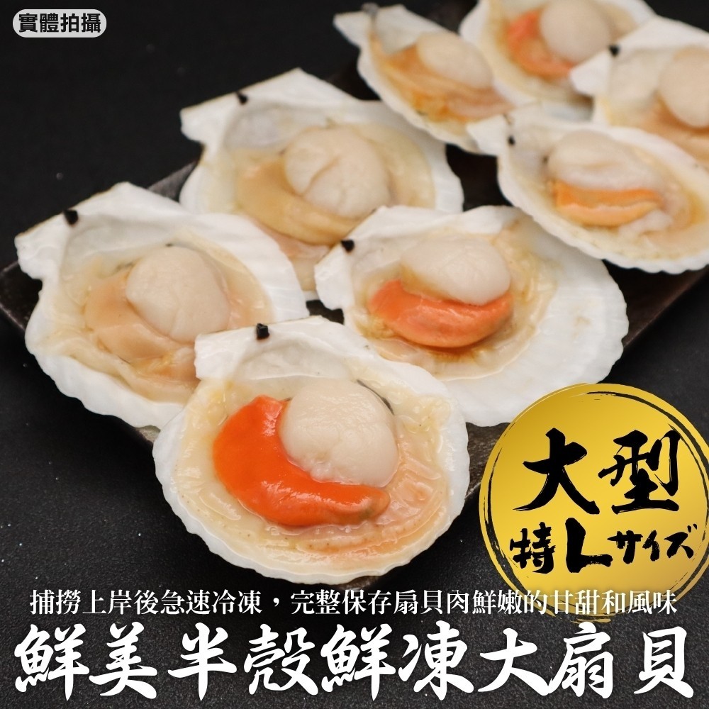 三頓飯 鮮美半殼鮮凍大扇貝(5包_5-9入/500g/包)