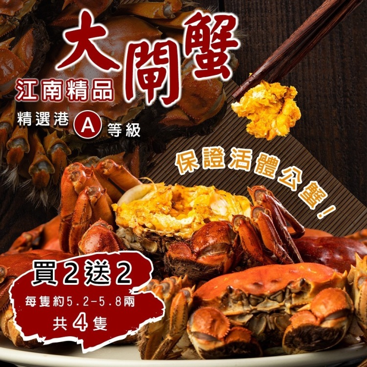 海肉管家 【保證活蟹直送x買2送2】正宗港A等級江南精品大閘蟹(共4隻_5.2-5.8兩/隻)