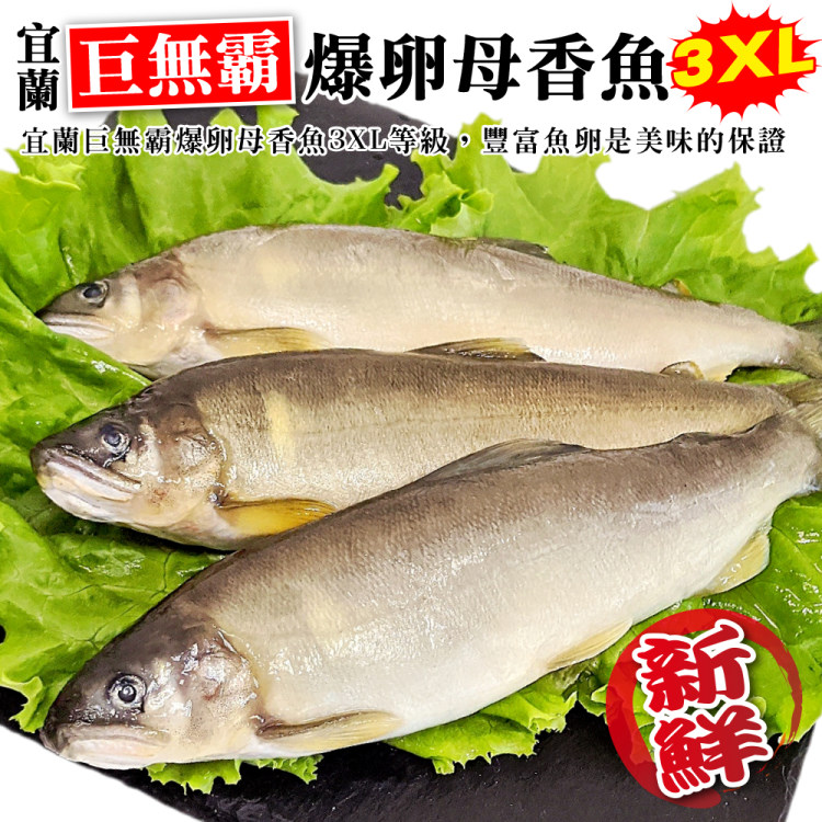 海肉管家 宜蘭巨無霸3XL爆卵母香魚(1盒_3-5尾/920g/盒)