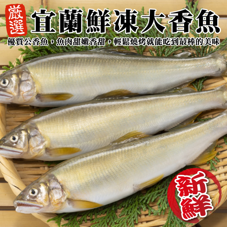 海肉管家 宜蘭鮮凍大香魚(共24尾_8尾/920g/盒)