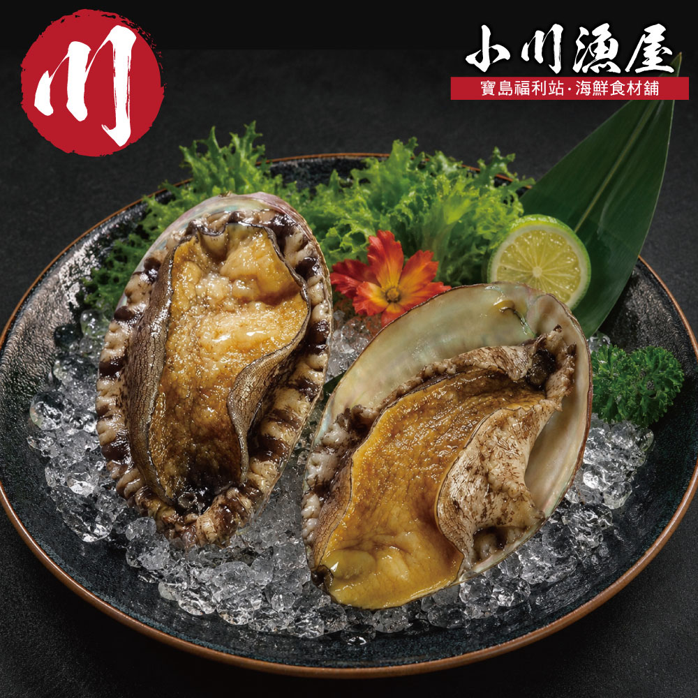 小川漁屋 極品南非活凍帶殼鮑魚1包(500g±10%/包/約6~8粒)