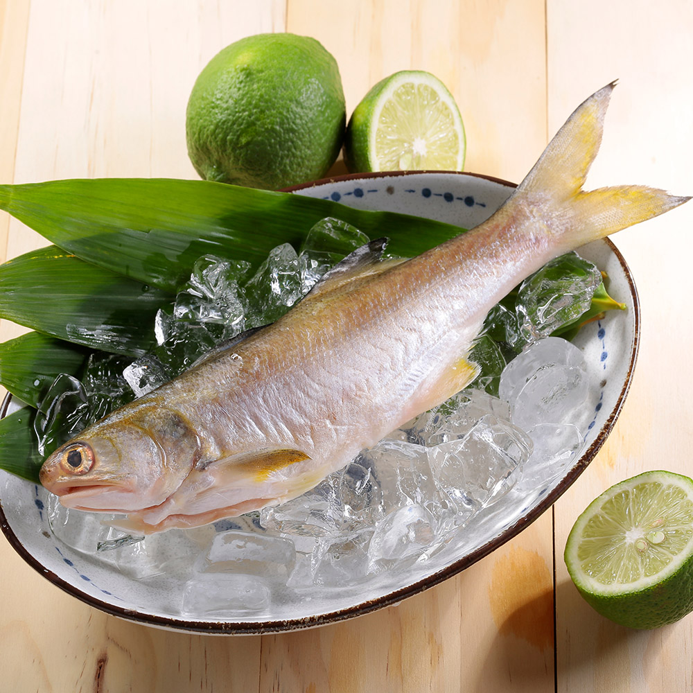 華得水產 新鮮午仔魚16尾(250-280/尾)