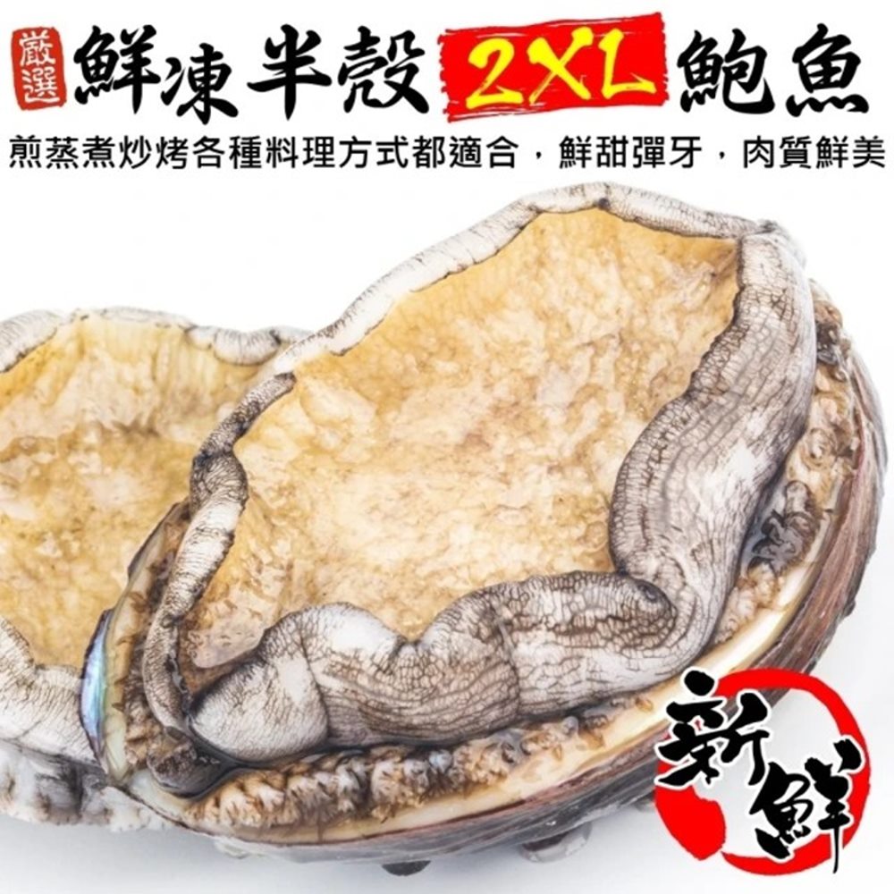 海肉管家 鮮凍2XL半殼九孔鮑魚(2包_10-12顆/1kg/包)