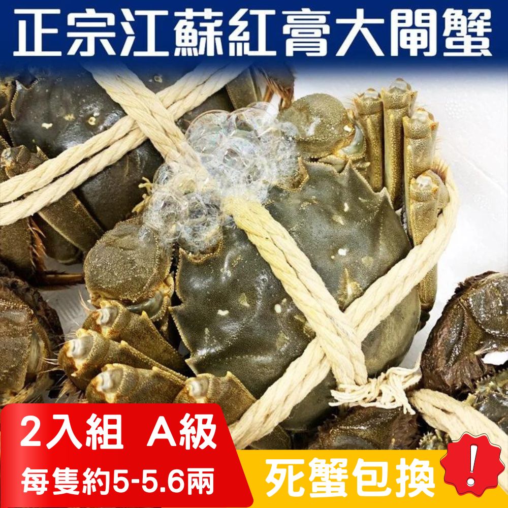 RealShop 真食材本舖 正宗活體江蘇紅膏大閘蟹 A級( 5~5.6兩)/2隻入