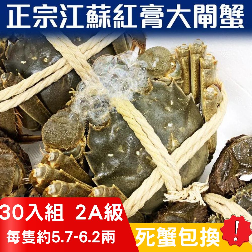 RealShop 真食材本舖 正宗活體江蘇紅膏大閘蟹 2A級(5.7~6.2兩)/30隻入