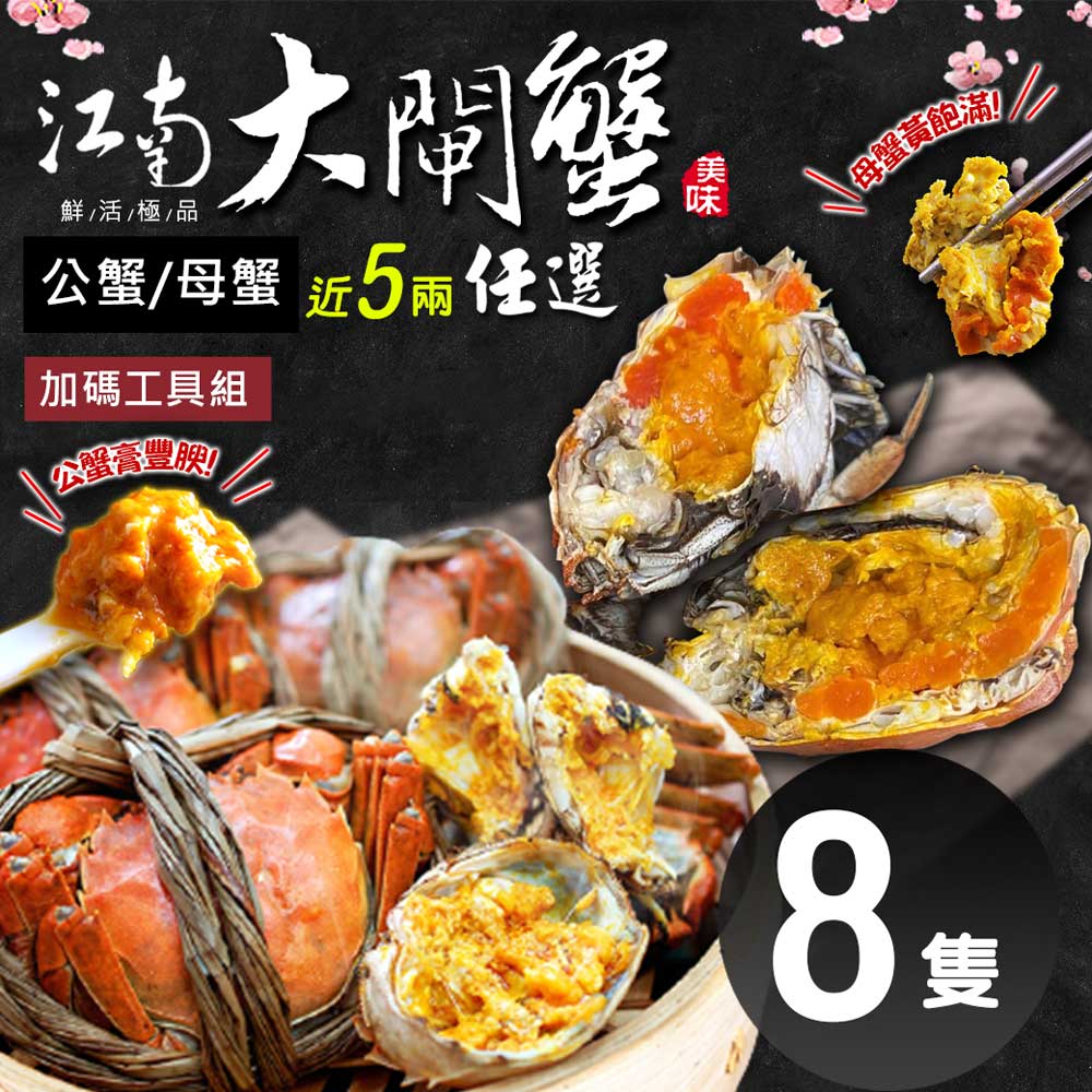 (公母任選)近5兩大閘蟹8隻組/贈工具組/江南大閘蟹