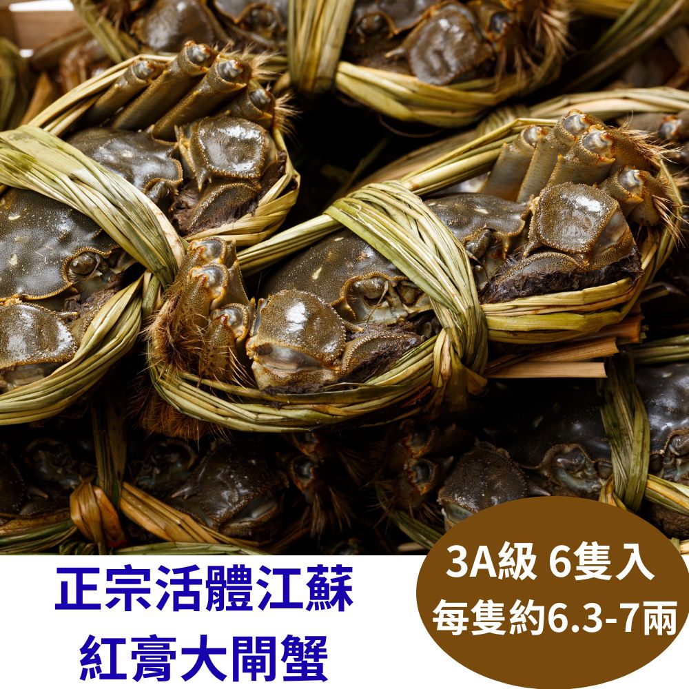 RealShop 真食材本舖 正宗活體江蘇紅膏大閘蟹 3A級(6.3-7兩)/6隻入